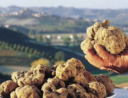 Inn Alba Pensionat Alba (Piedmont)