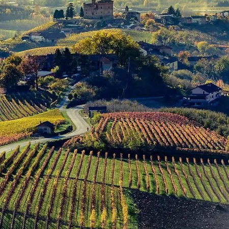 Inn Alba Guest house Alba (Piedmont)